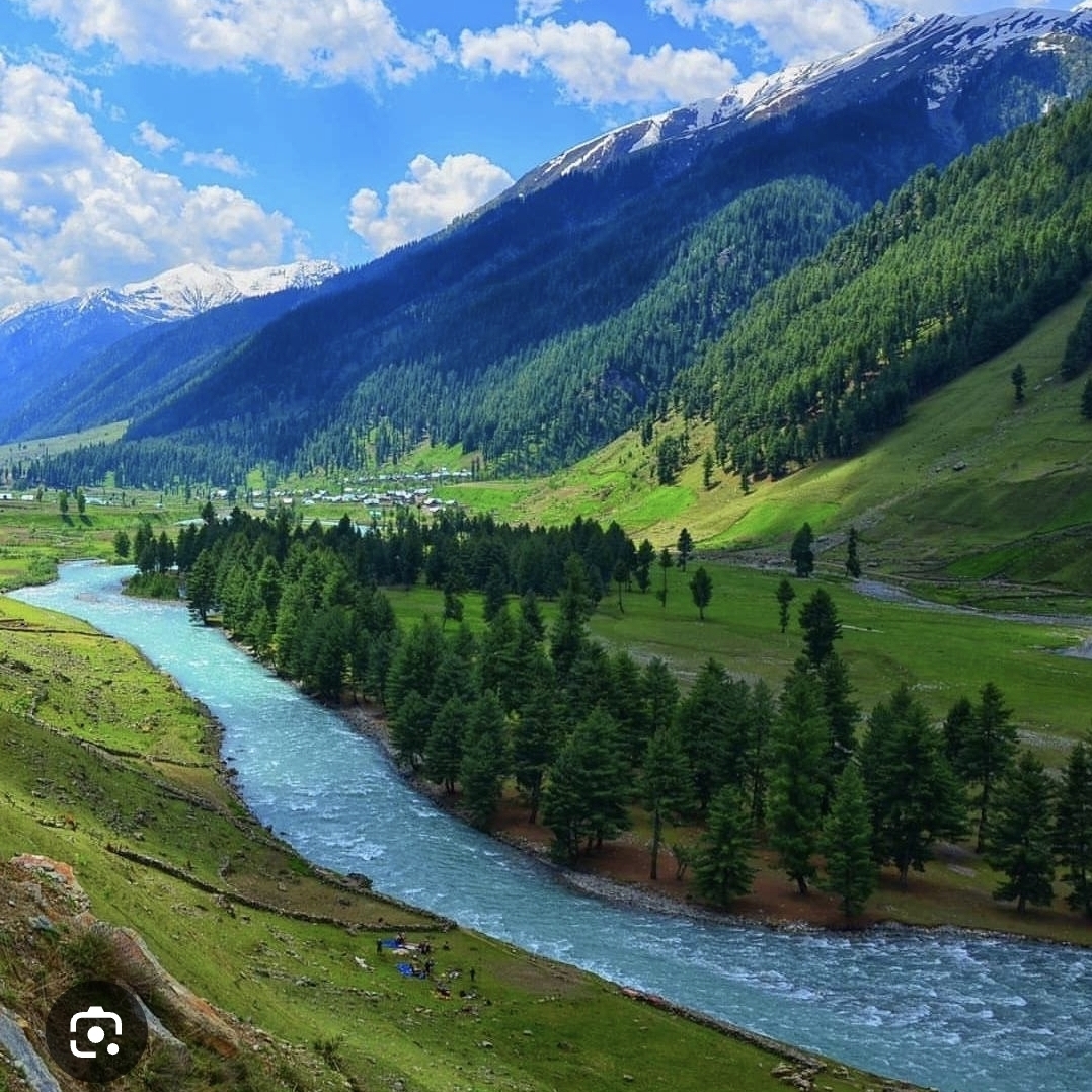Unknown Persons Damage Apple Crops in Killora, Shopian during night ...
