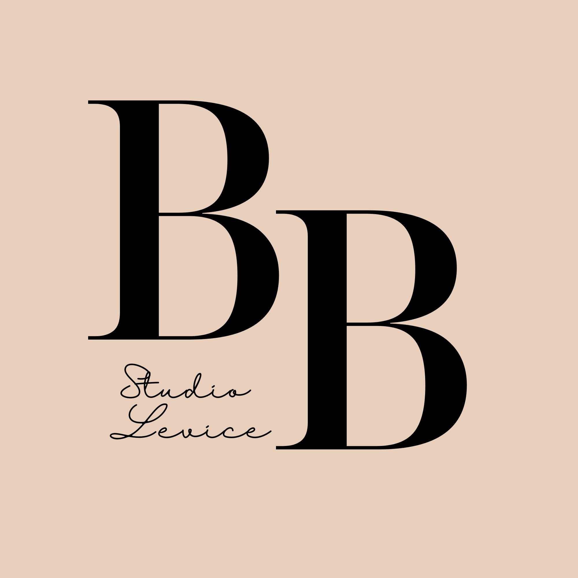 BB Studio Levice
