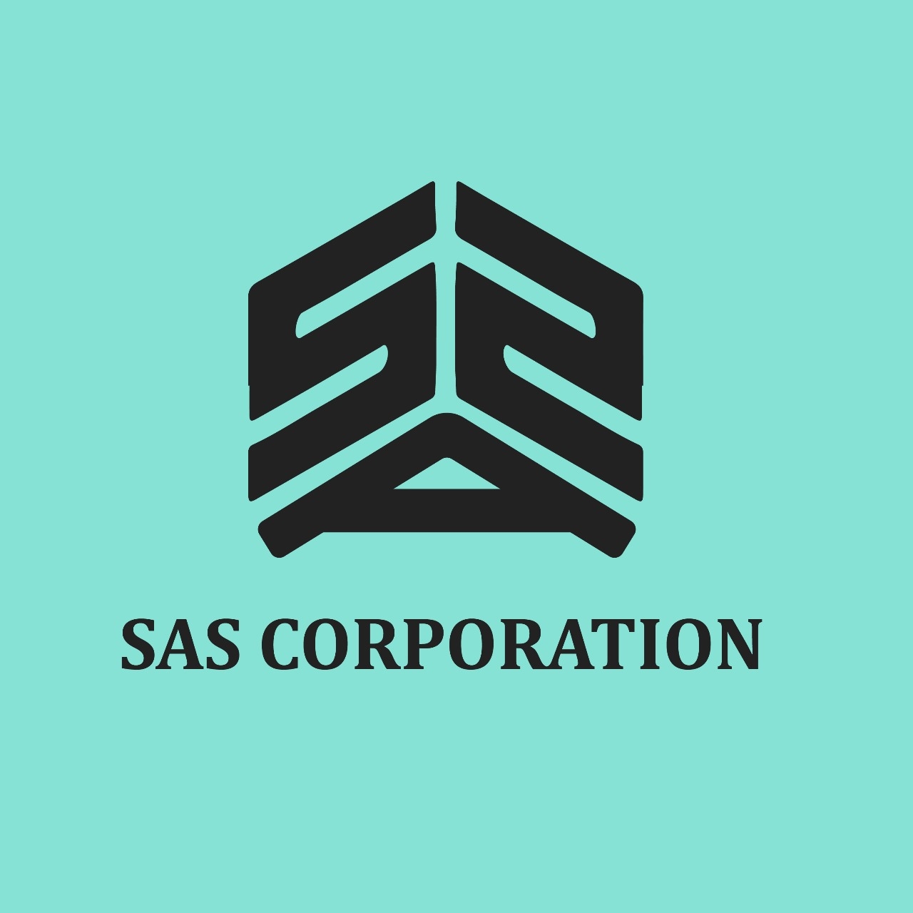 SAS Corporation