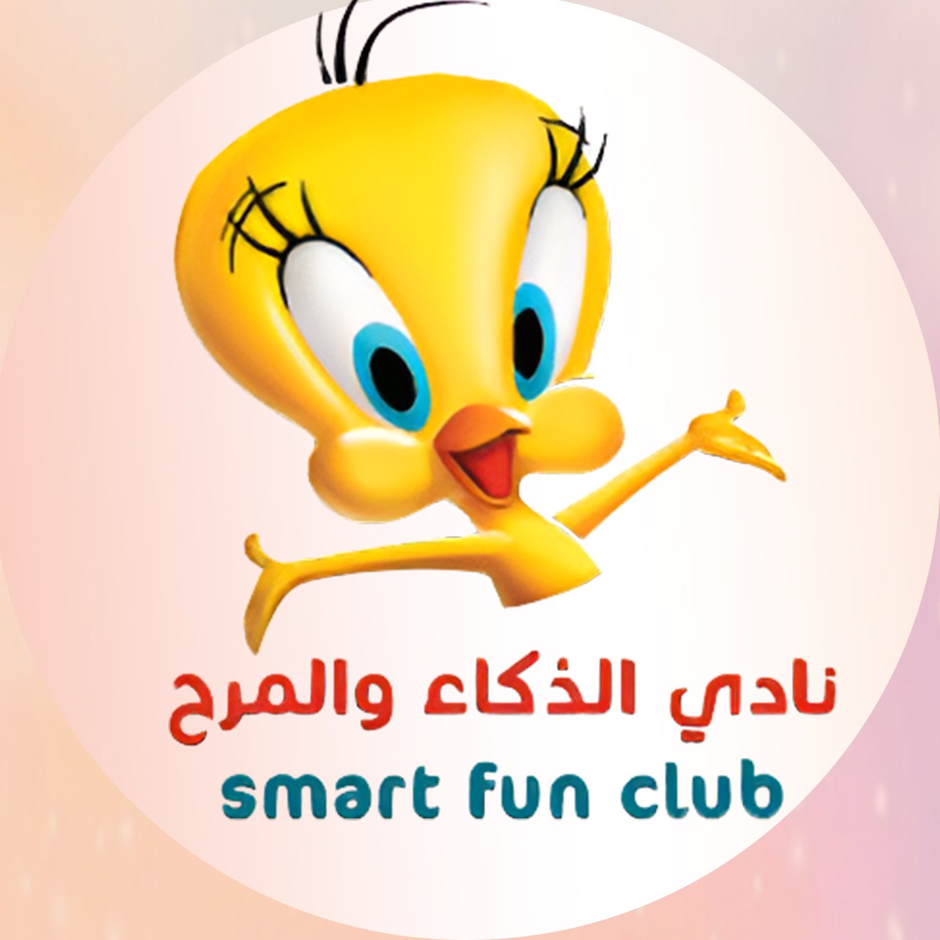 Smart fun club نادي الذكاء والمرح | Sanaa