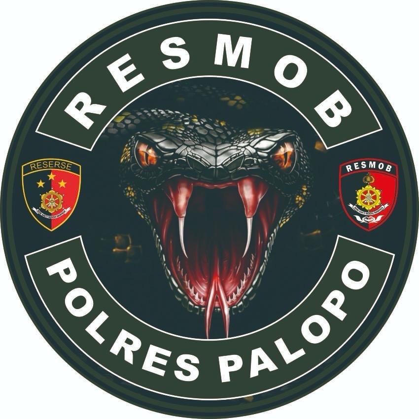 RESMOB PALOPO (TEAM PHYTON) melakukan Penangkapan terhadap 2 (Dua ...