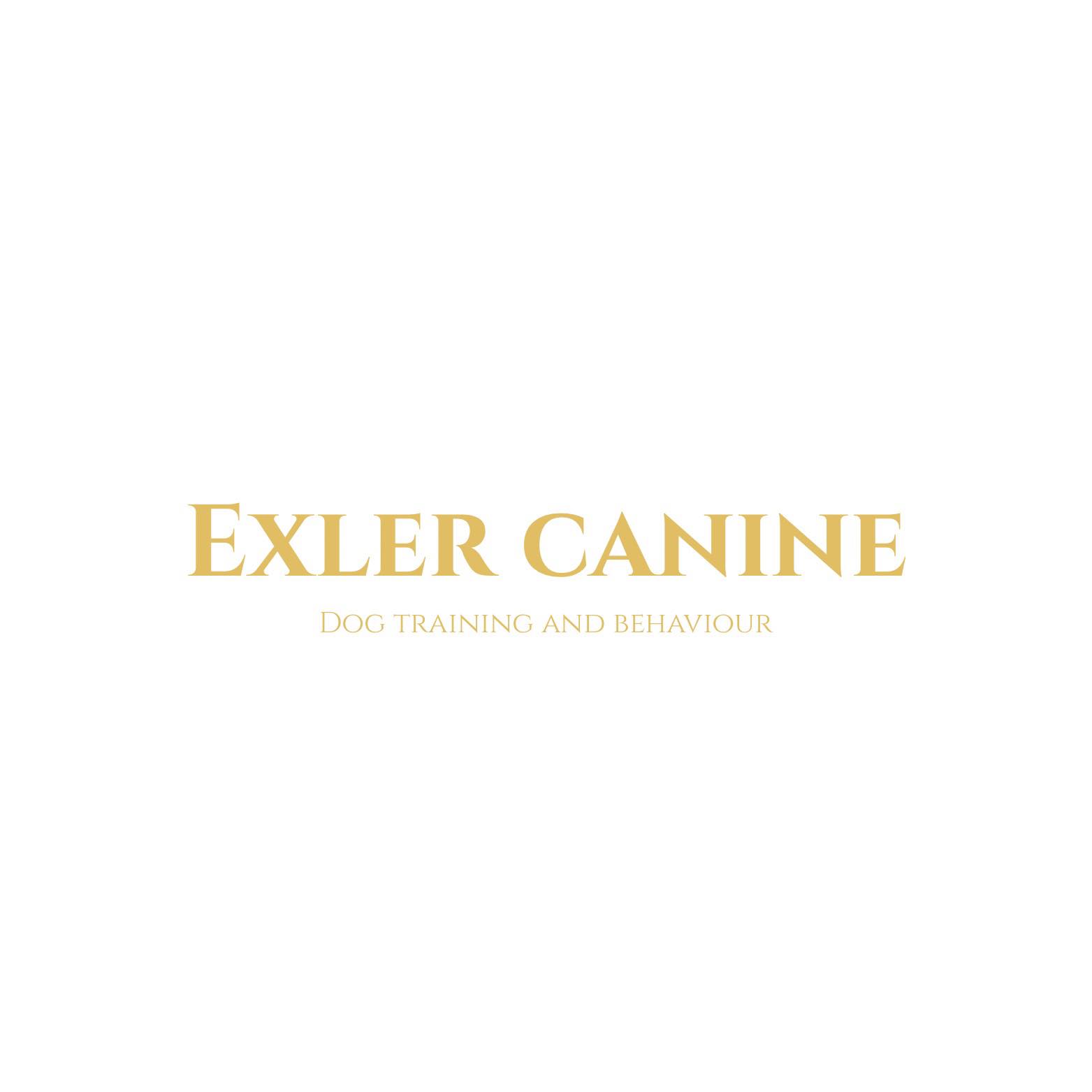 Exler Canine Dog Training & Behaviour | Hemel Hempstead