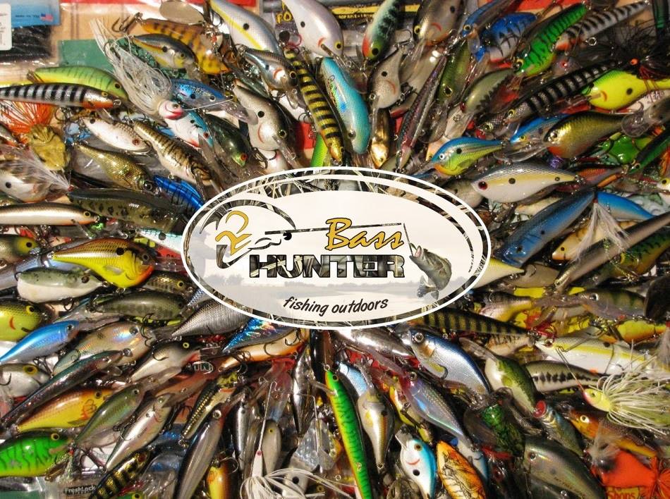 Mathoura Humminbird Fishing Classic - This year the winner of the early ...