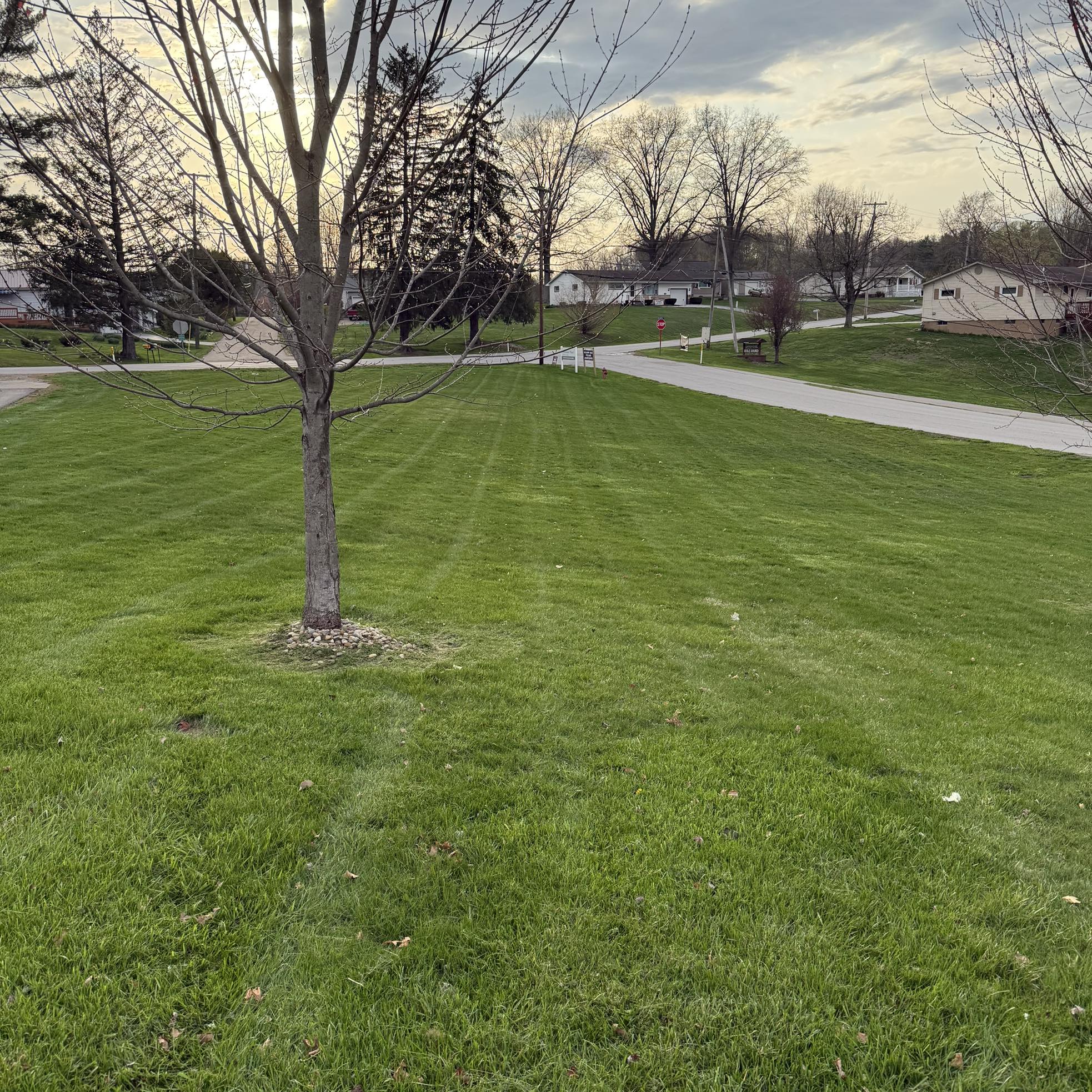 Picture Idea: Top Dog Lawn Care Llc