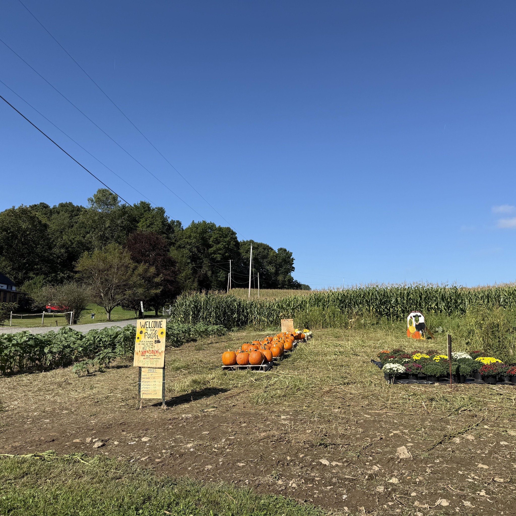 Stone Ridge Farm | Friendsville MD