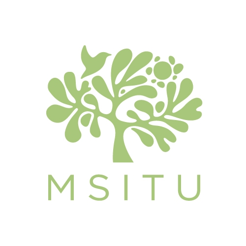 므시뚜 msitu