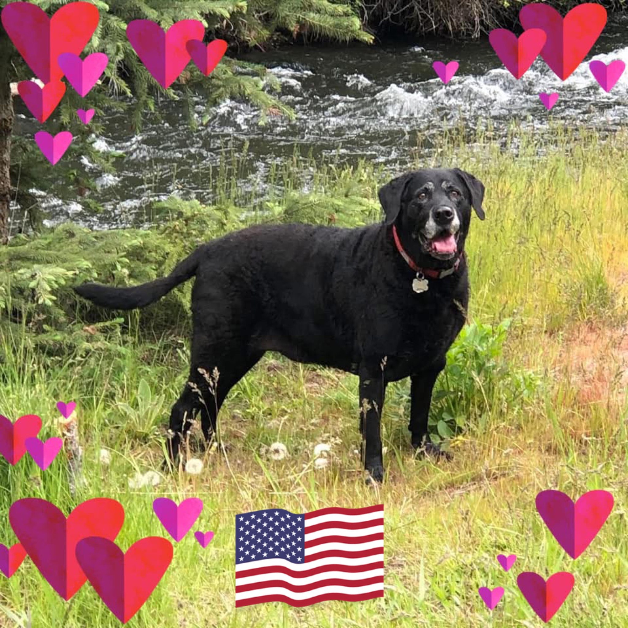 tucker-budzyn-stay-strong-tucker-and-family-facebook