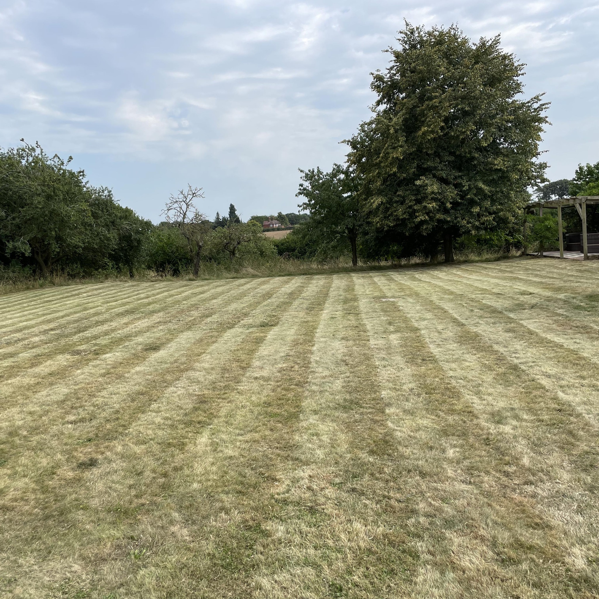 🌿 ️ We’ve started tackling the... - R&B gardening services | Facebook
