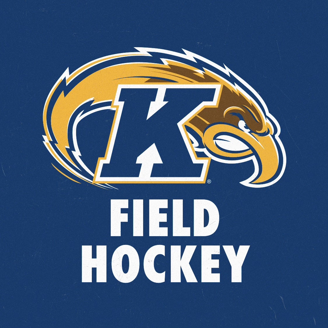 Kent State Field Hockey | Kent OH