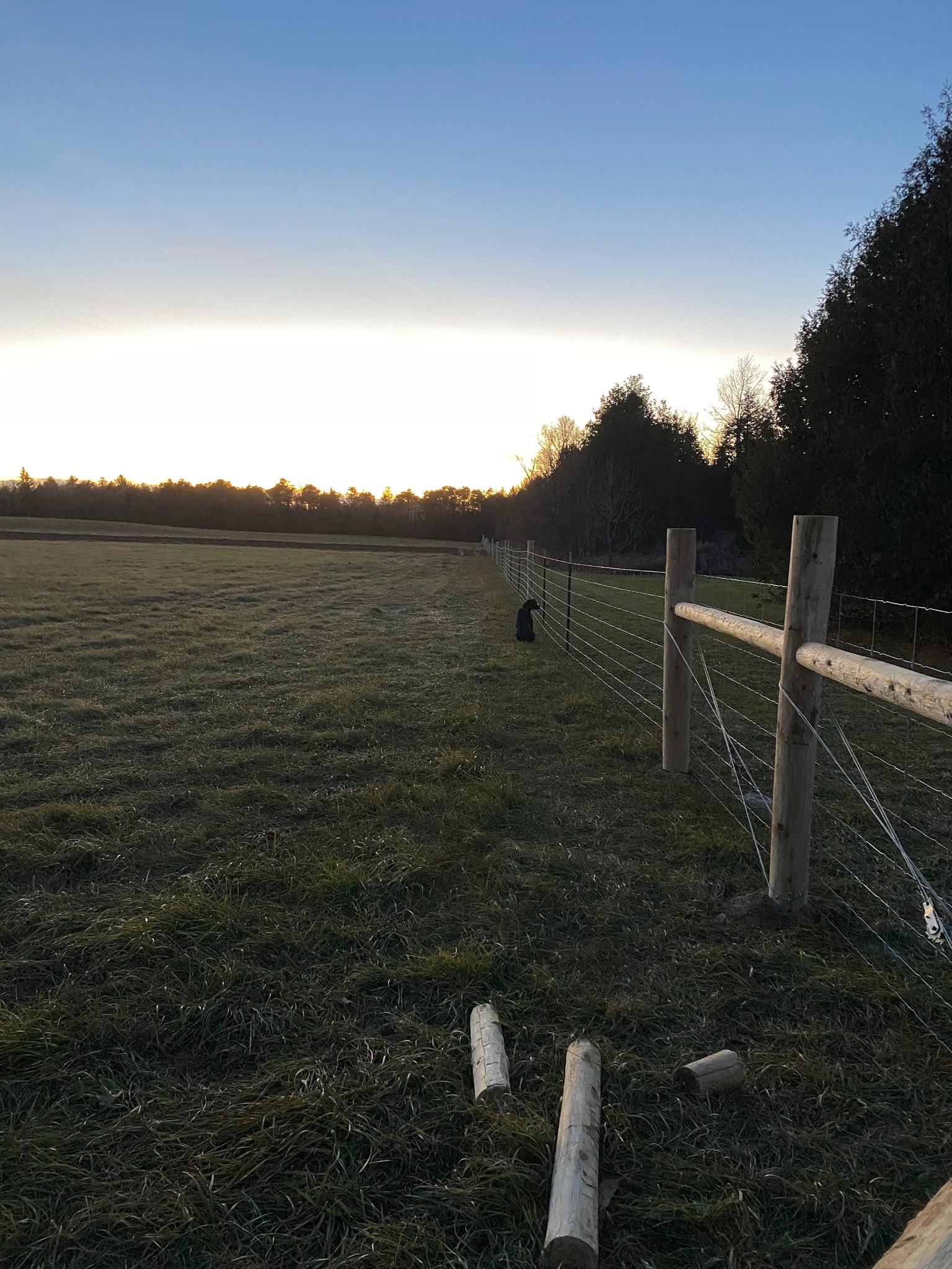 Gate fence & Rail | Peterborough ON