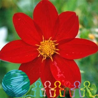 Abeka Homeschool Resale Group | ISO 3rd & kindergarten | Facebook