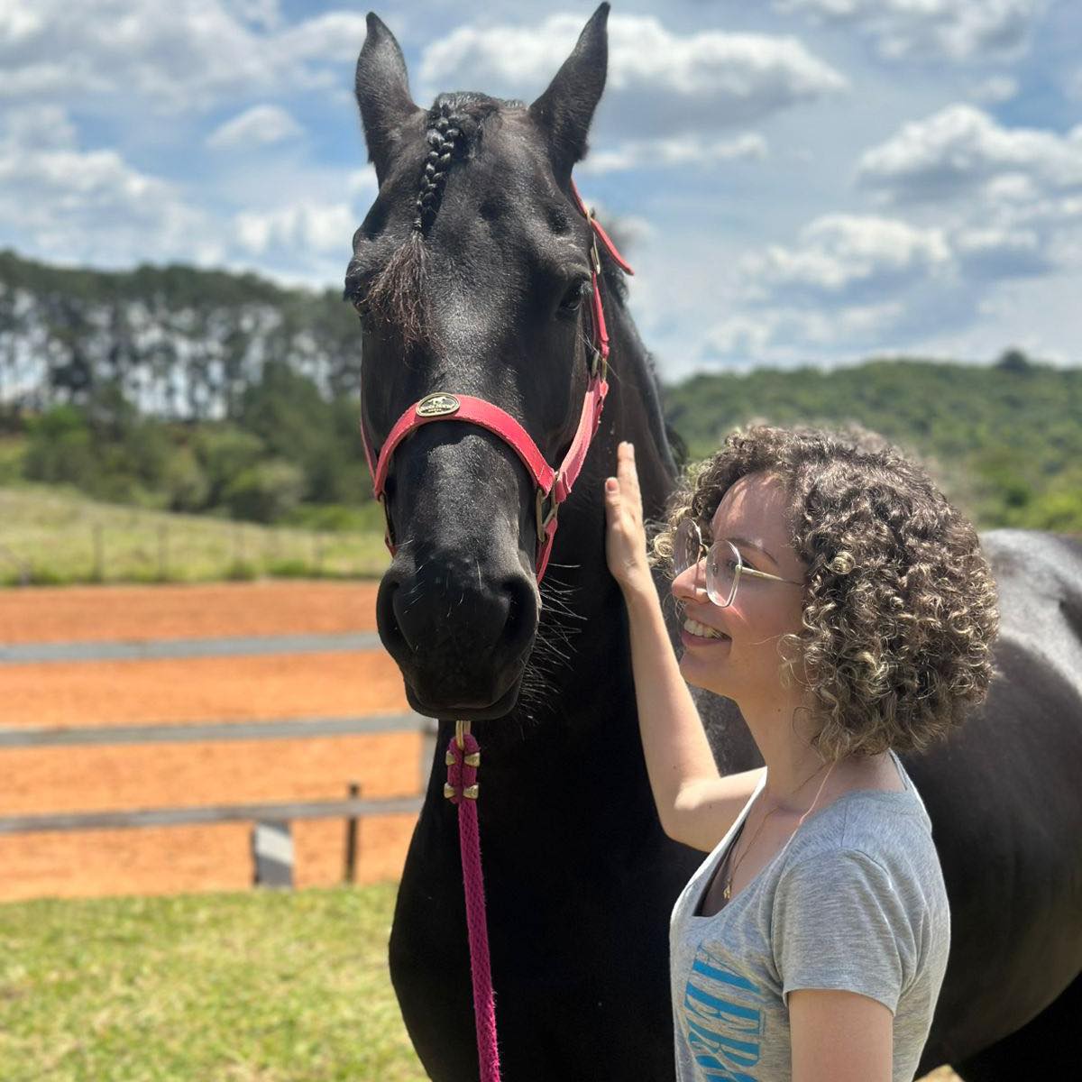 Assim como o cavalo sente quando a tensão da rédea diminui, a alma ...