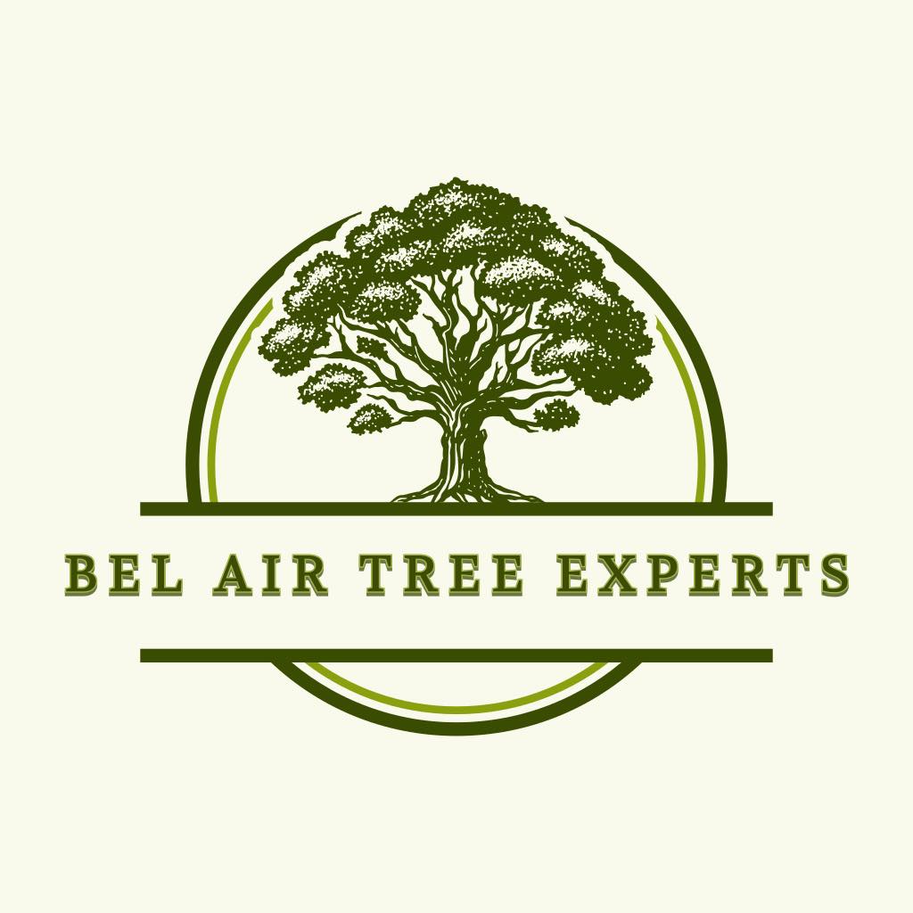 Bel Air Tree Experts