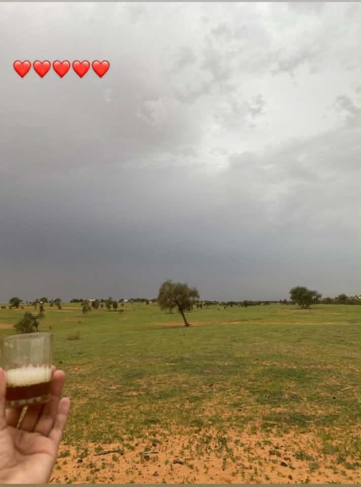أنا لا أفكر في الرجوع إليه…😭💔 | اشـــــويـــبة مســــومـــة
