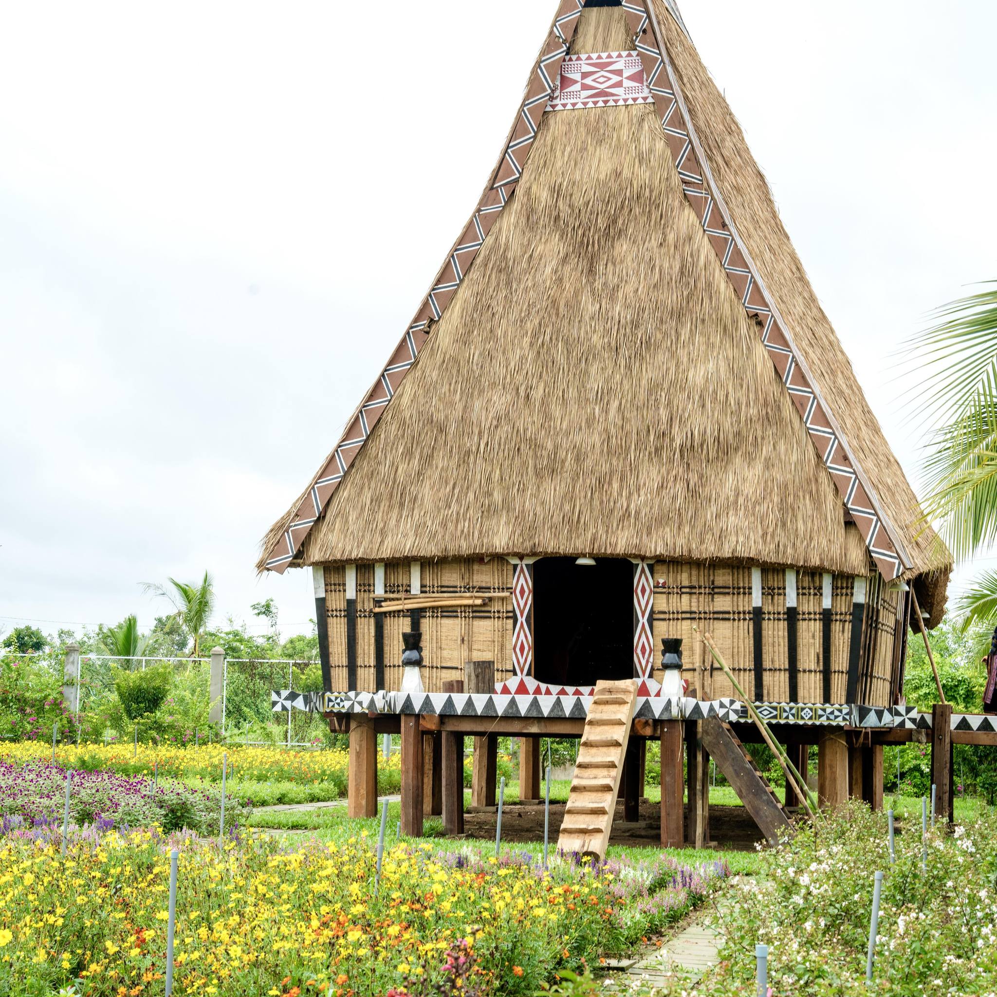 Cánh Đồng Hoa Thiên Thai - Nhà Rông Bana | Ho Chi Minh City