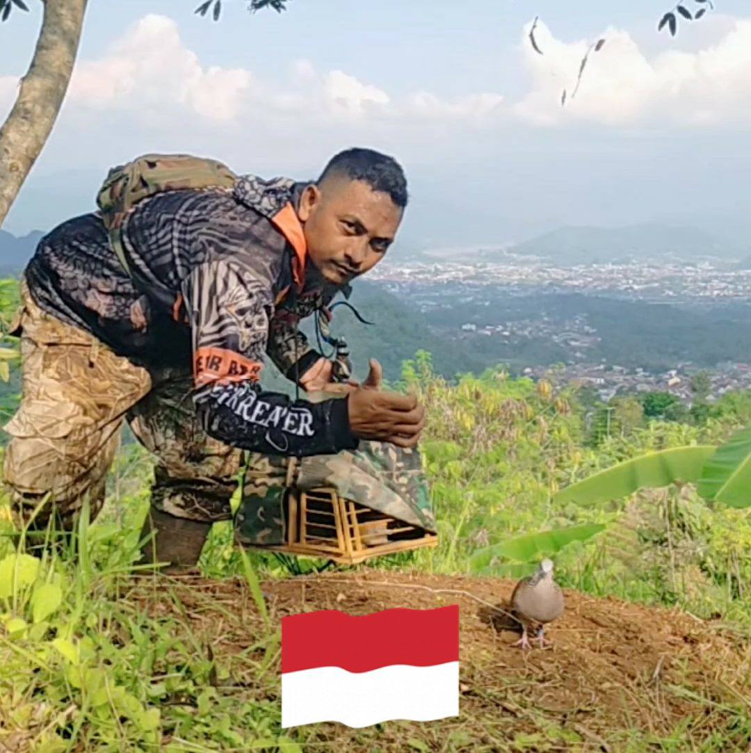  Hanya sekedar meregangkan sayap saja biar nggak kaku 😁🙏🙏 