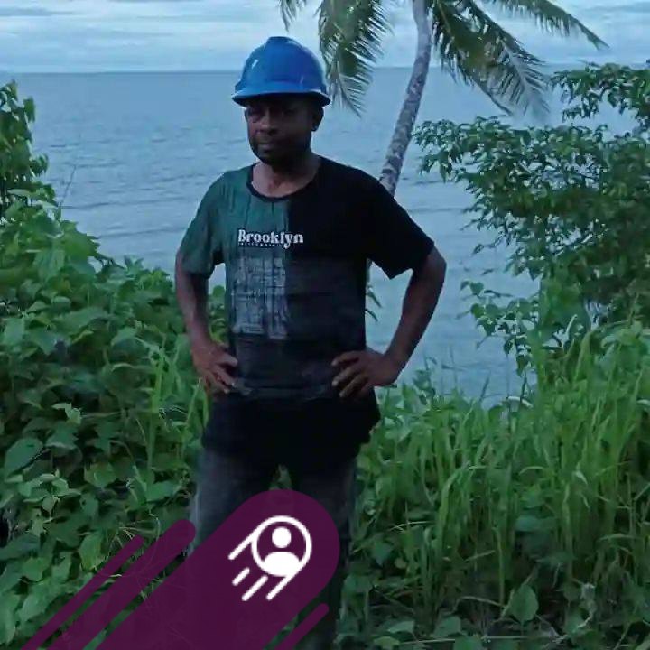 Snake Attacks Bird on Electric Pole — Shocking Realistic Encounter ...