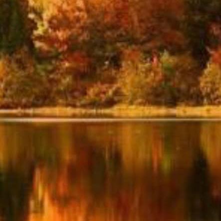 Lake Placid Florida | Drinking a bottle of Aldi water this morning, I ...