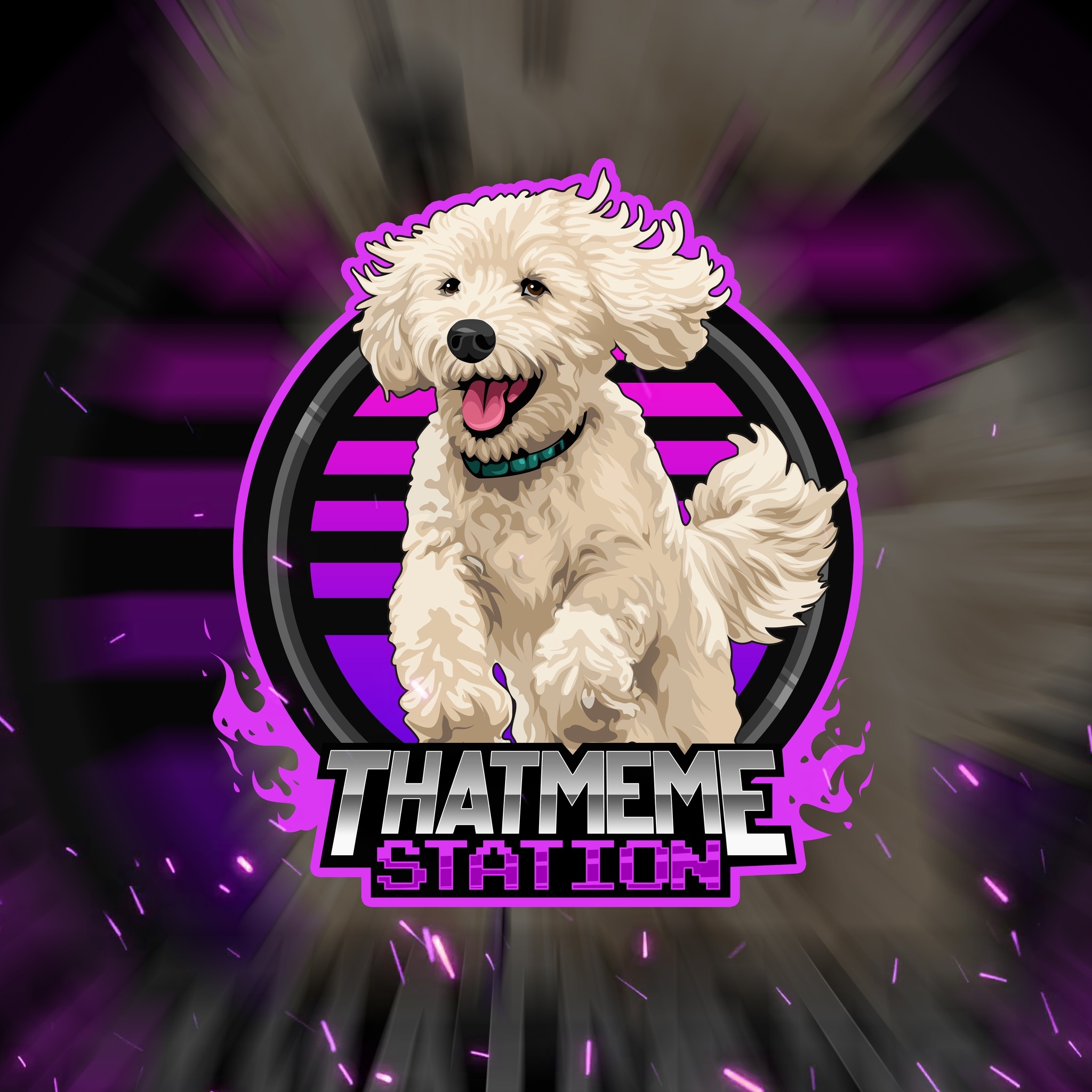 That Meme Station | Chicago IL