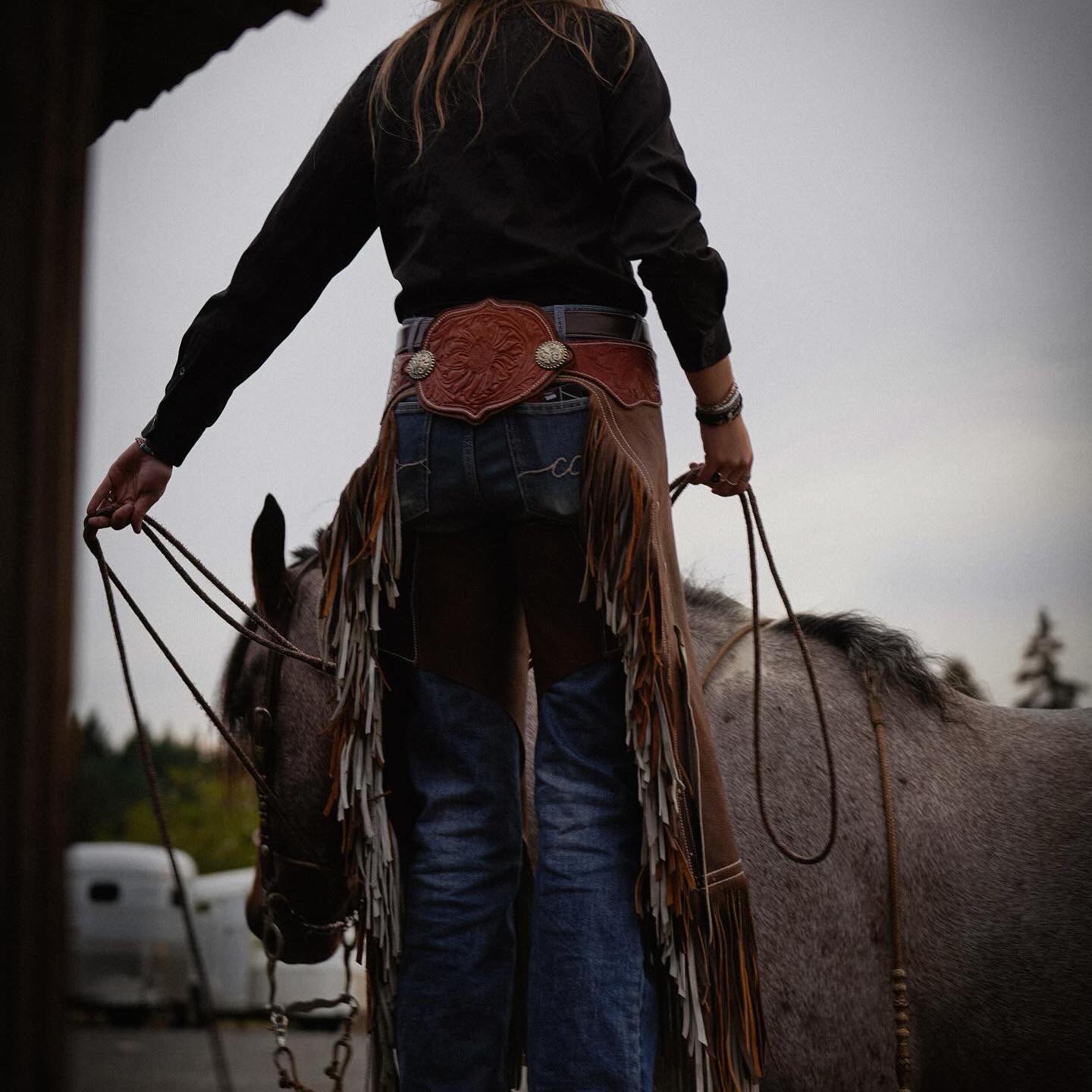 Mountain Range Mustangs- Emily Hall & Rango