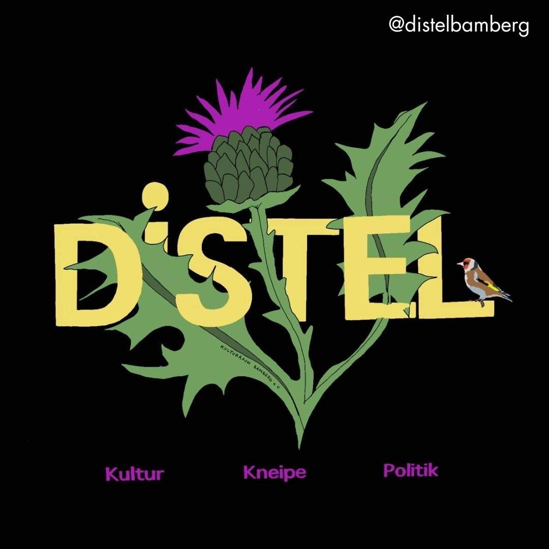 Distel Bamberg