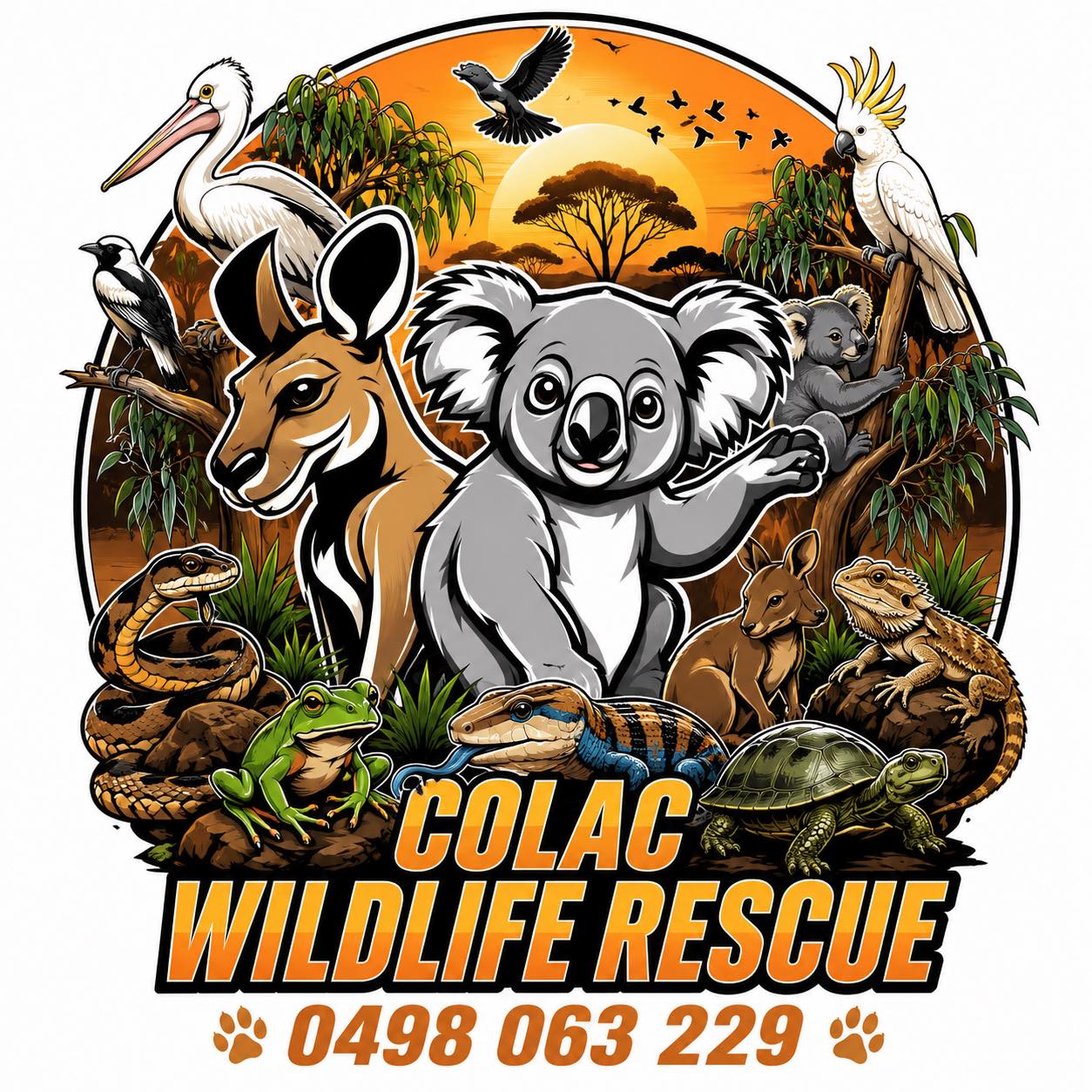 Colac Wildlife Rescue | Colac VIC