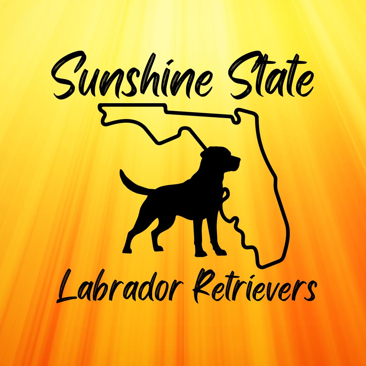 Sunshine State Labrador Retrievers