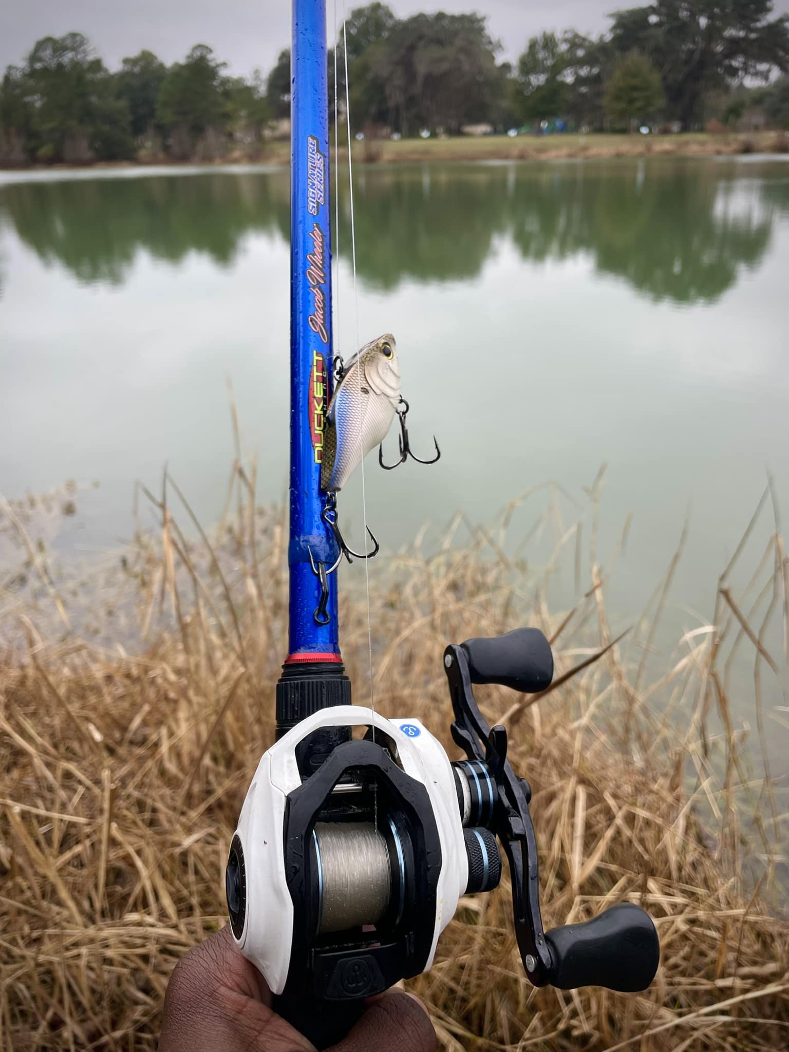 duckett fishing rods with free reel is now available on Amazon Prime. Shop rods, baits, and more Prime shipping on all products Style_Lure Bag Abu Garcia Cardinal X this rod delivers great Color:Holo Shiner