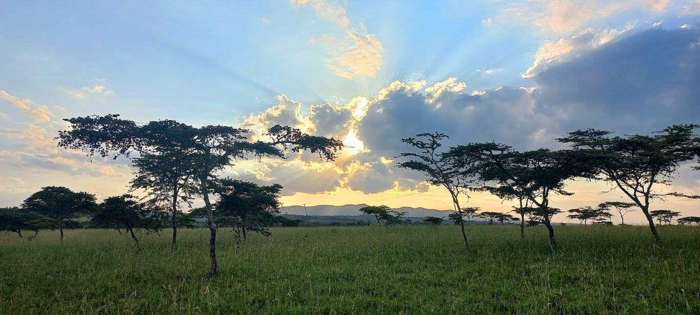 Emuta Ranch | Kajiado