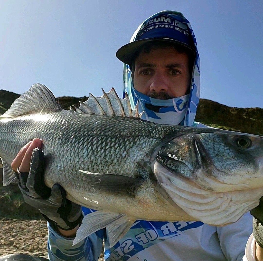 صيد السمك #الشرغو #بعجينةالبيلوطة #السمك | mostafa fishing | Facebook