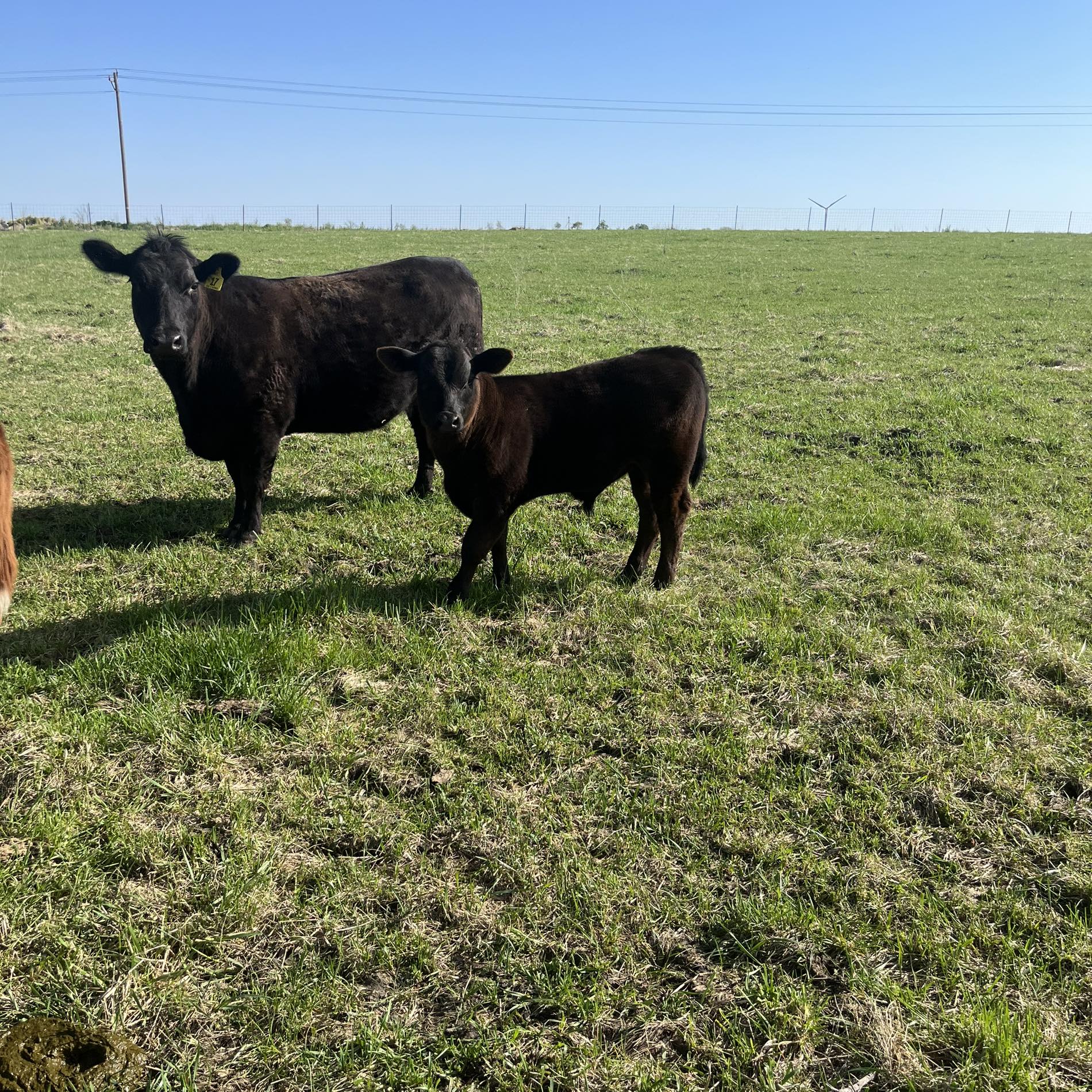 HB Farms | Fowler IN
