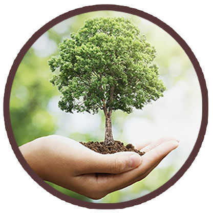 One Tree For the Nation - एक वृक्ष राष्ट्रकाे नाममा