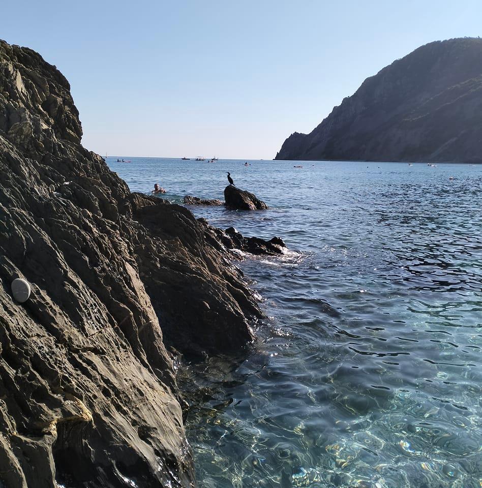 Passione Orto | Buongiorno! Ho le piante di pomodoro oramai da due e ...