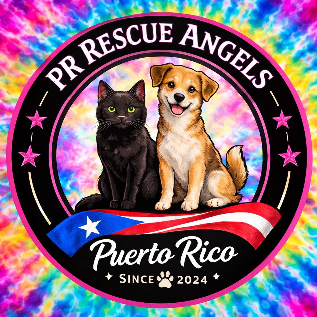 PR.Rescue.Angels