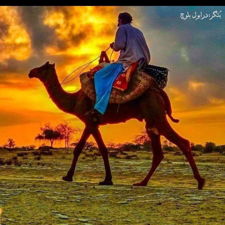 Mithi. City