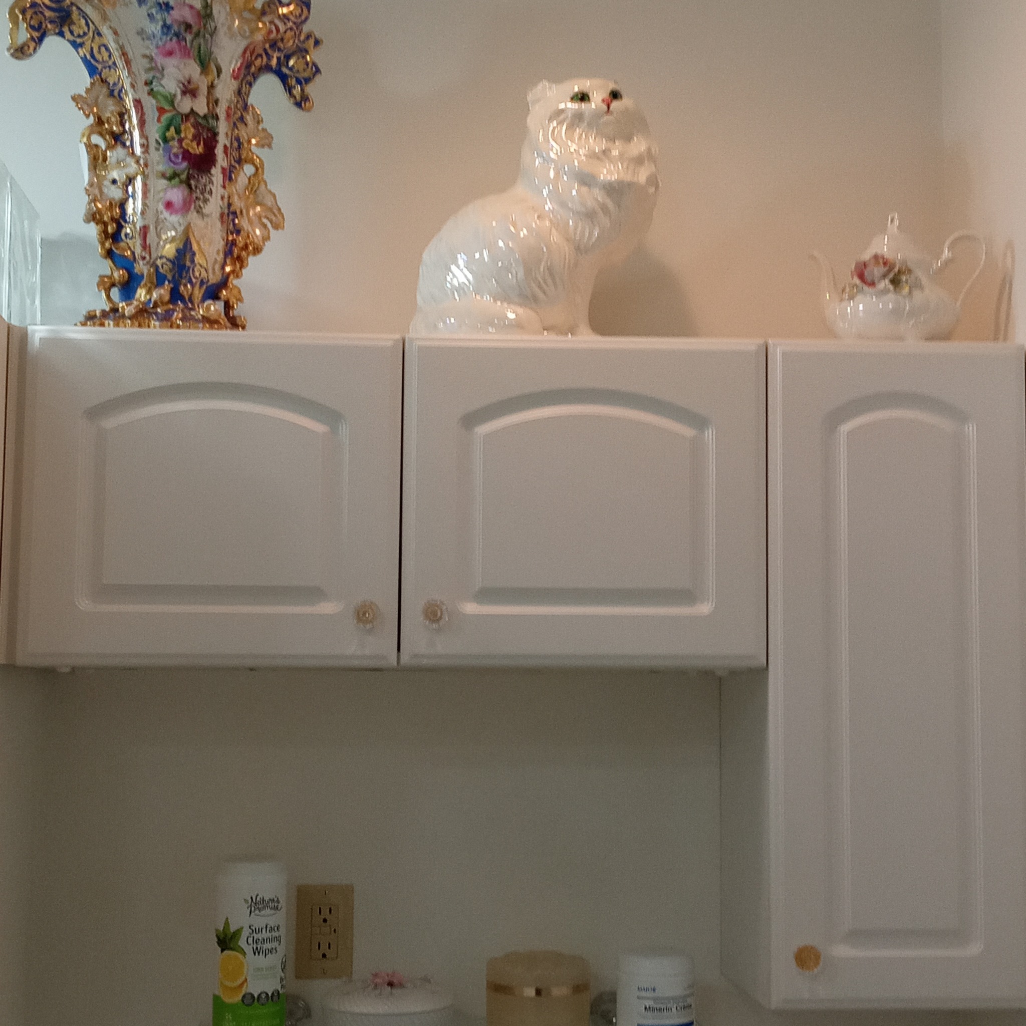 Does anyone know what these round white furry looking things are in my ...