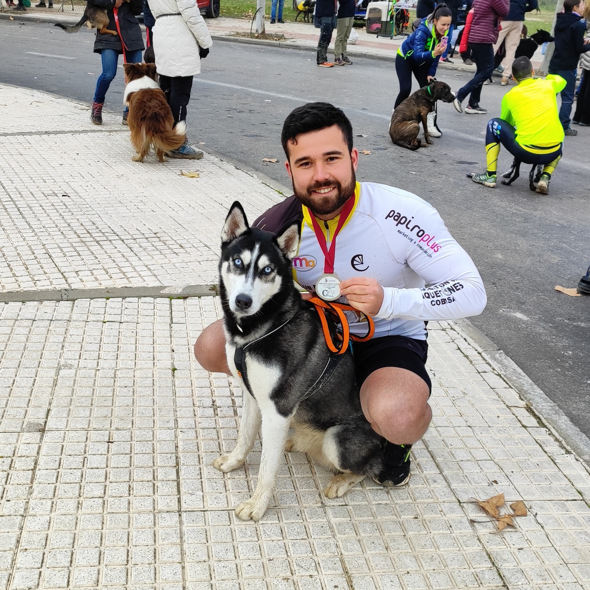 Riku es el primer husky que pasea al lado, o no… #husky #perros # ...