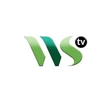 Western Spring Television