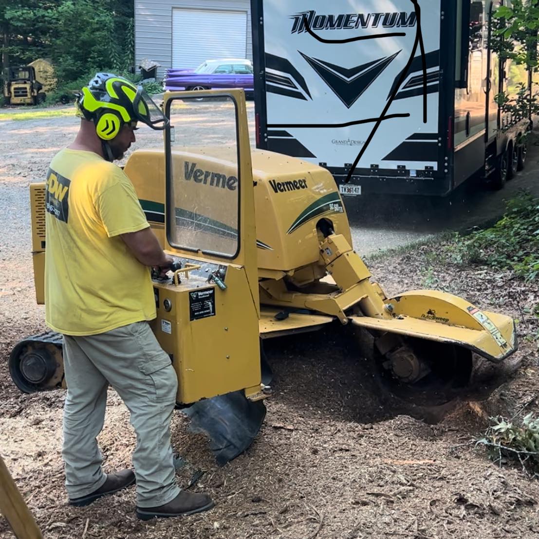 Patterson Tree Experts LLC | Marietta GA