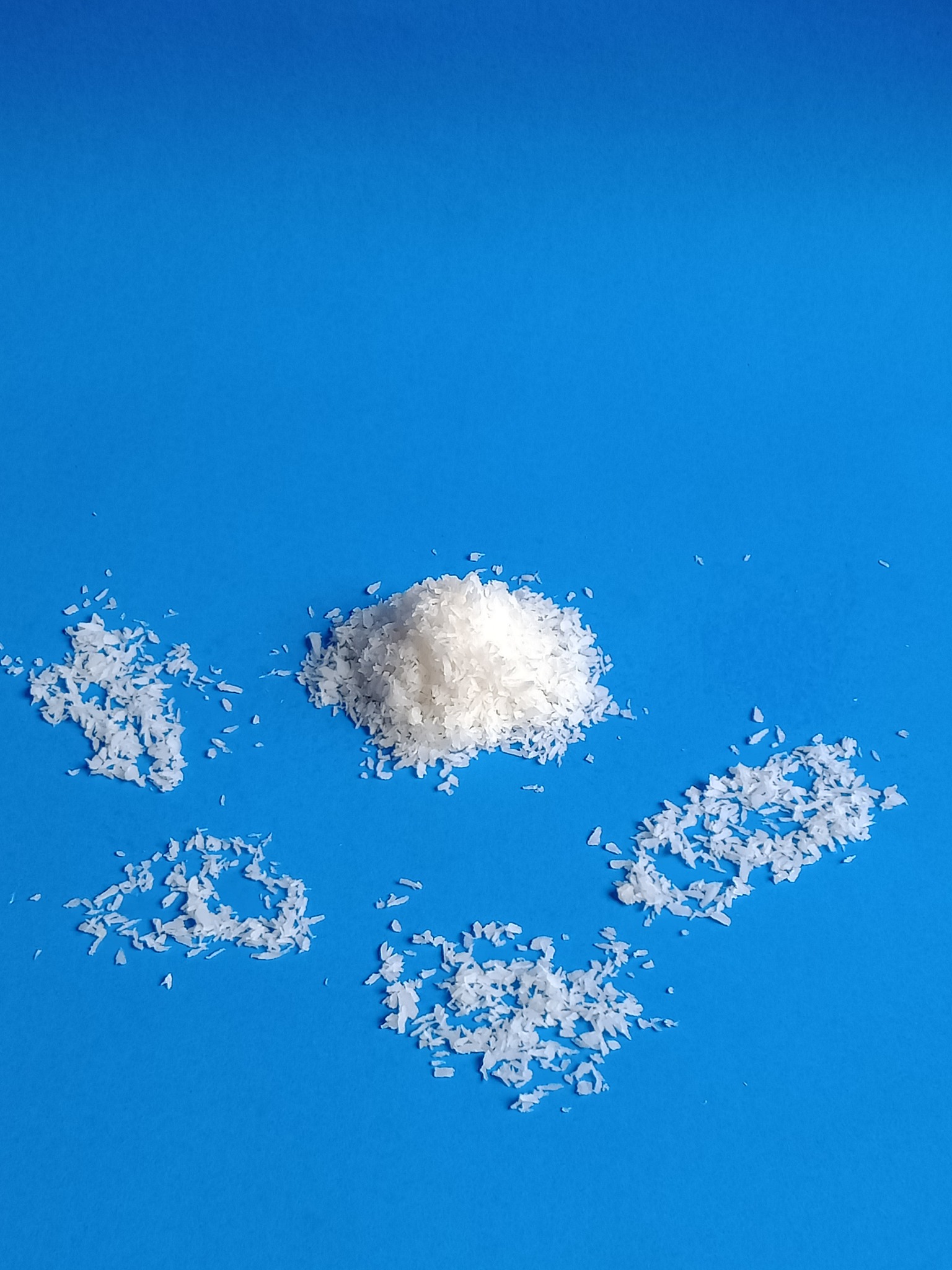 Dessicated Coconut | Jakarta