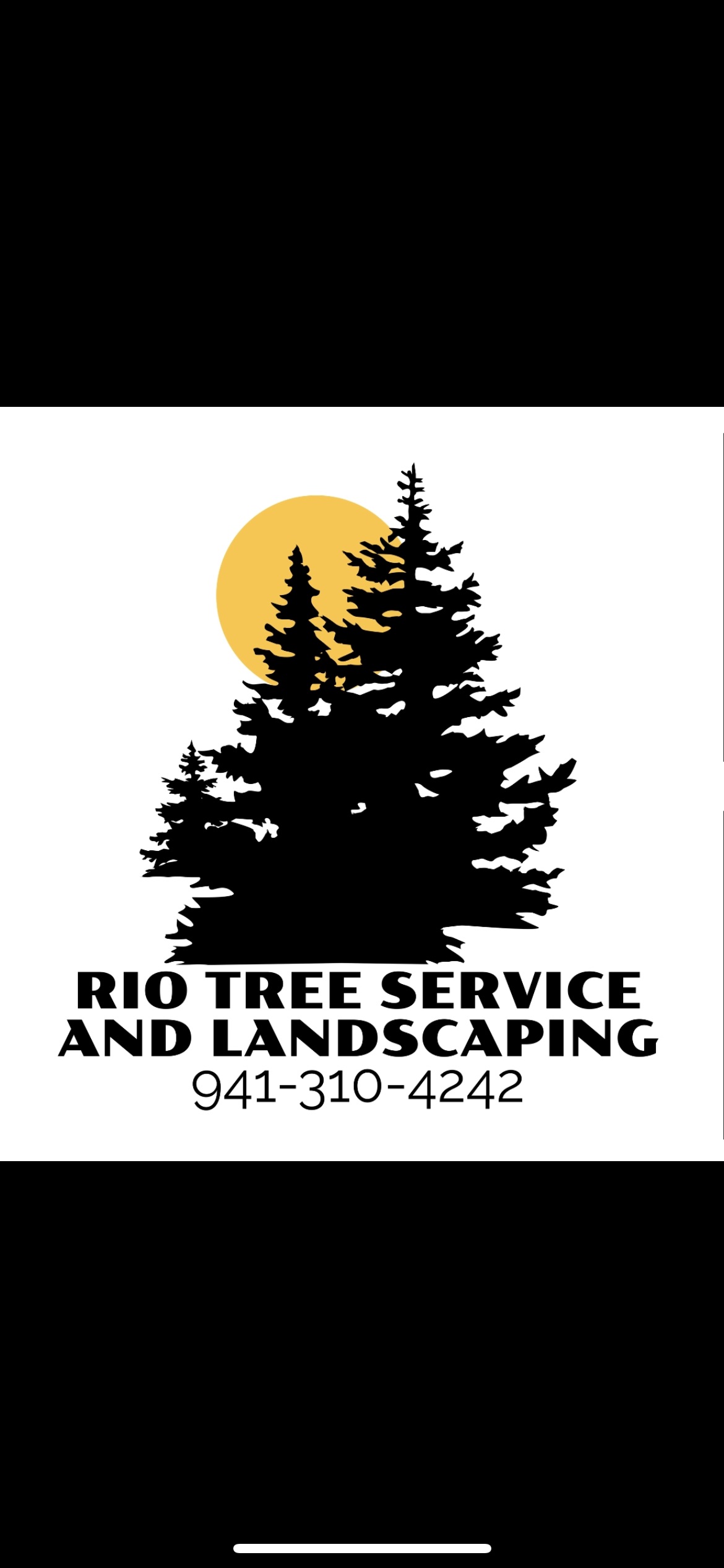 Rio Tree Service And Landscaping | Port Charlotte FL