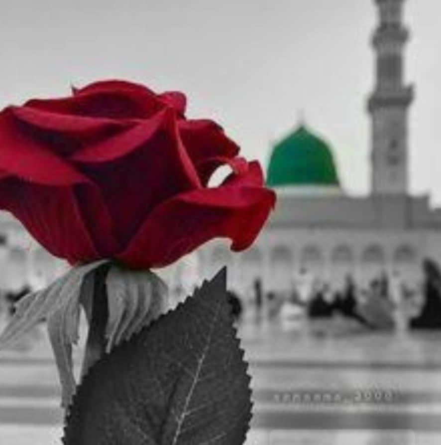 أفضل و أسهل طبق هندي تقدرو تجربوه هاد اليامات ونأكدلكم يجي بنين على تع ...