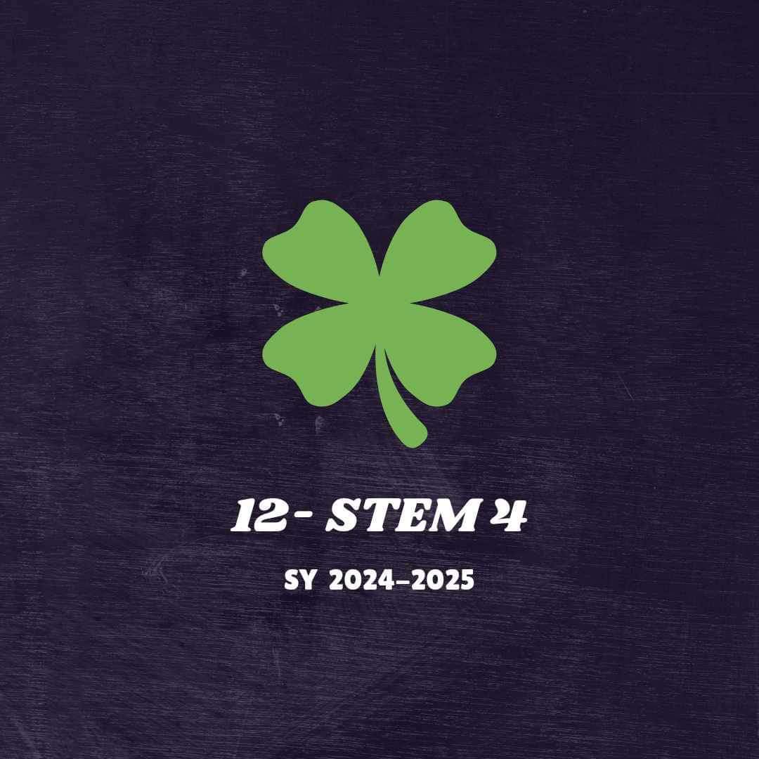 12 STEM 4
