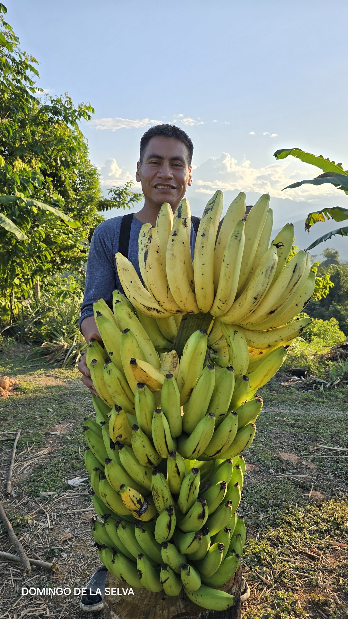 Hoy acompañanme a sancochar camotes que me envio mi mamita 😋🥔🤝🏻🇵🇪# ...