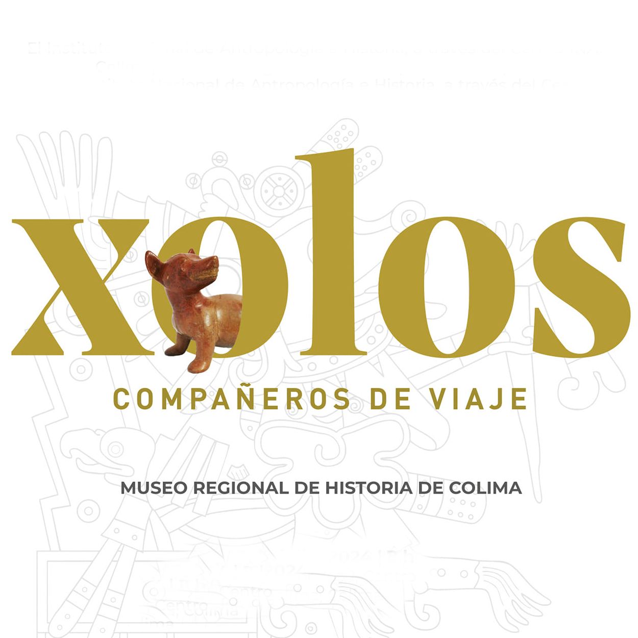 Museo Regional De Historia Colima | Colima
