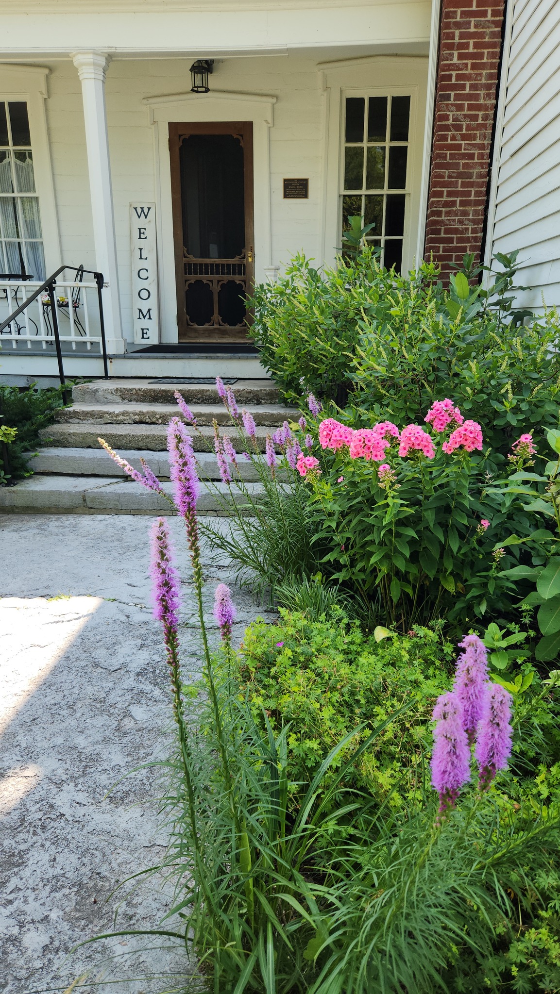 Lyme Performing Arts Council | Chaumont NY