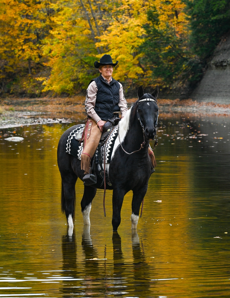 Mini Horse and Pony Networking | New to owning a mini | Facebook