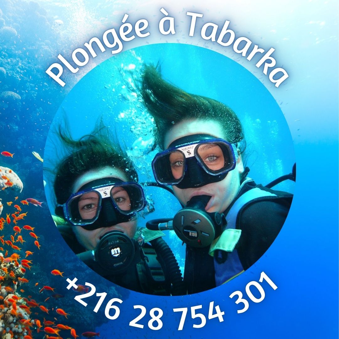 Plongée Sous-Marine à Tabarka - Centre de Plongée | Tabarka