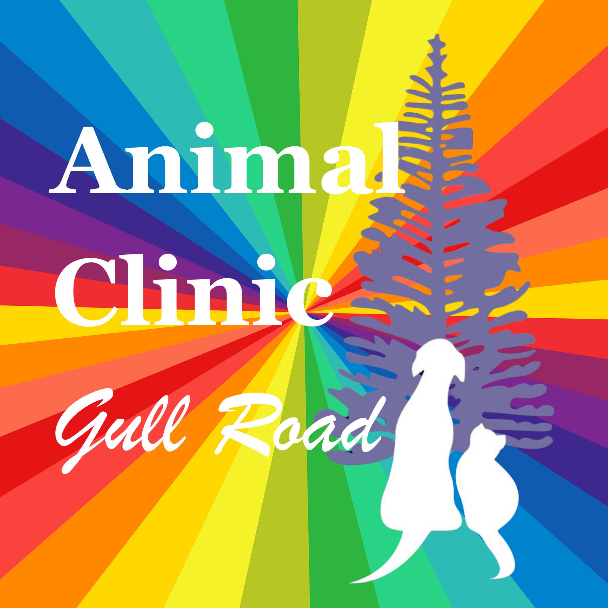 Animal Clinic Gull Road | Kalamazoo MI