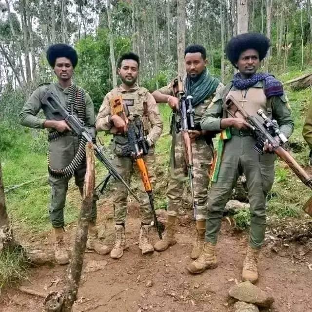ቲጂ የመይሳው ልጅ